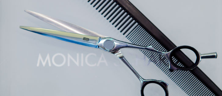 Salon Monica Schardt